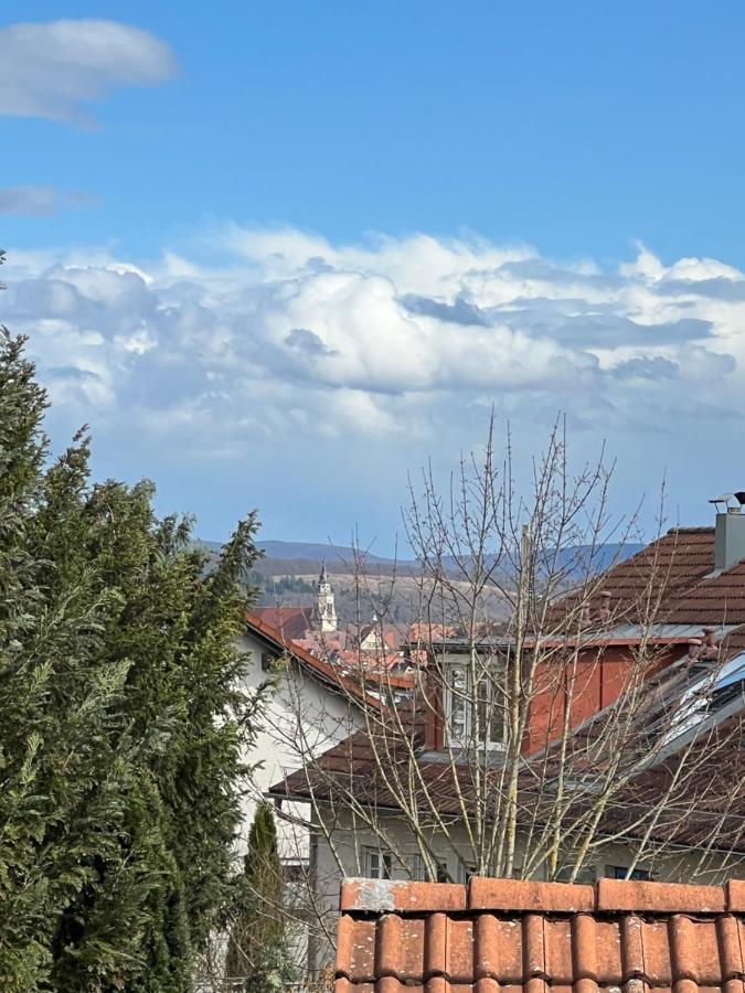 Casa Conte Apartment Tübingen Екстериор снимка