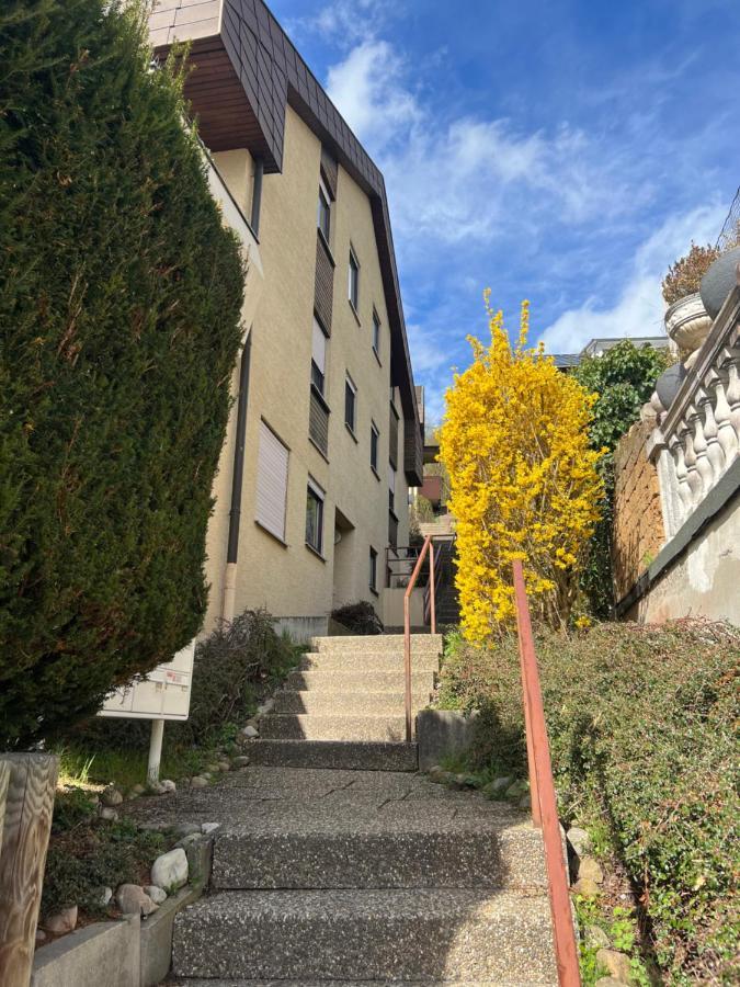 Casa Conte Apartment Tübingen Екстериор снимка